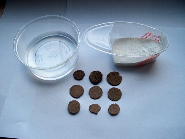 Münzreinigung