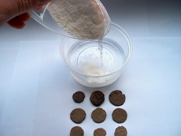 Münzreinigung