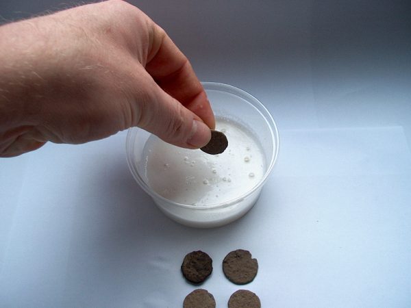 Münzreinigung